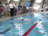 DSC00133.JPG