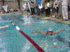DSC00134.JPG