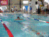 DSC00135.JPG