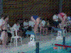 DSC00177.JPG
