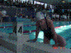 DSC00186.JPG