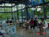 DSC00219.JPG